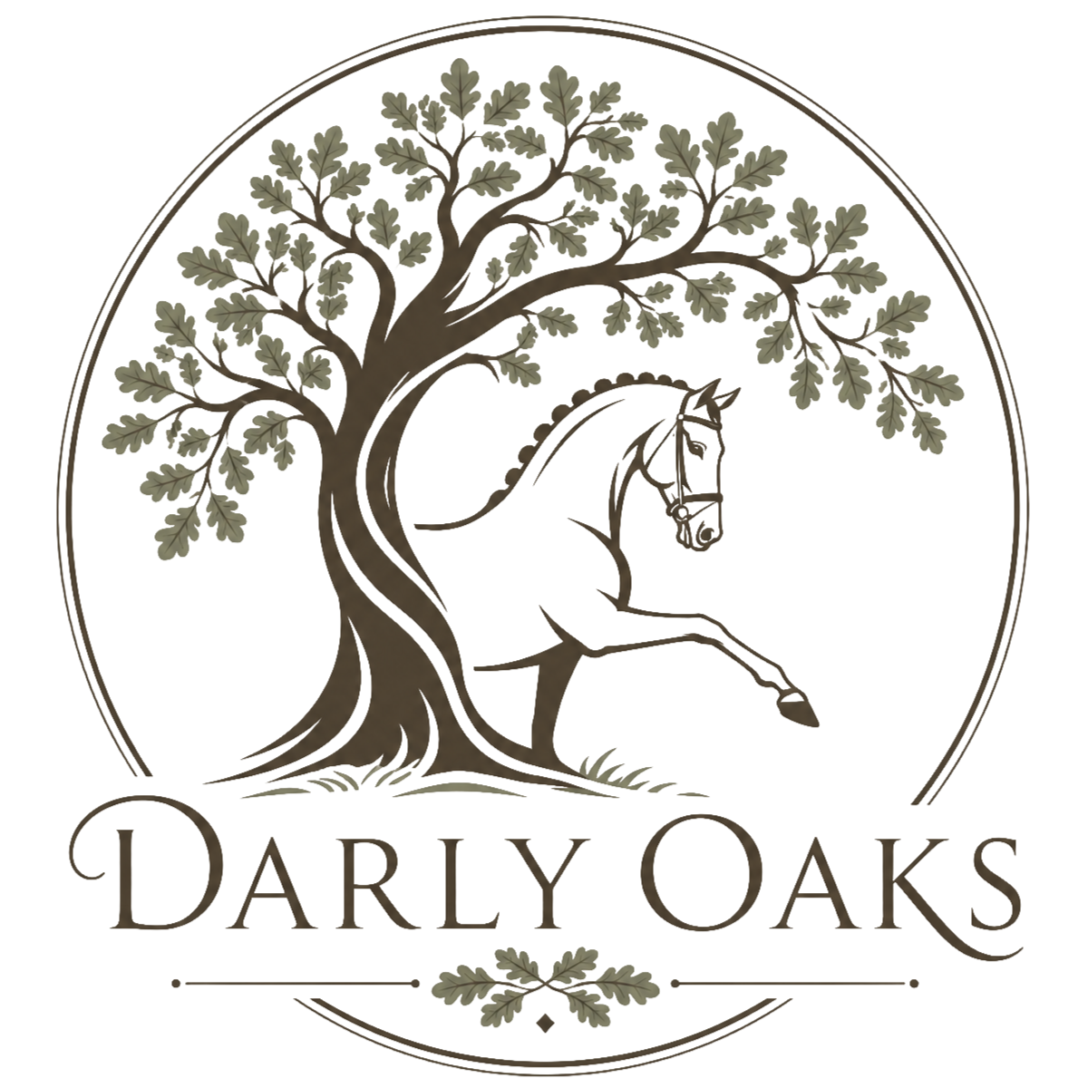 Darly Oaks Equestrian - Co-op Horse Boarding Community
